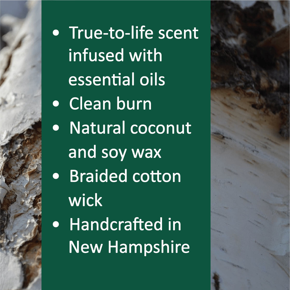 Northern Birch Holiday Candle