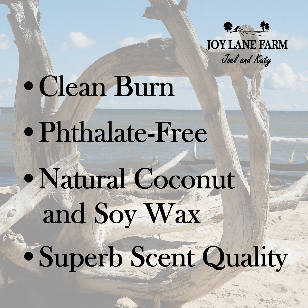 Driftwood Ceramic Soy Candle - Case Pack of 4