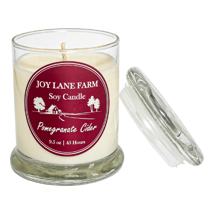 Pomegranate Cider Soy Candle - Case Pack of 4