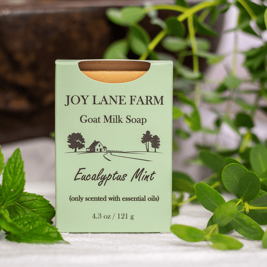 Eucalyptus Mint Goat Milk Soap for Dry Skin
