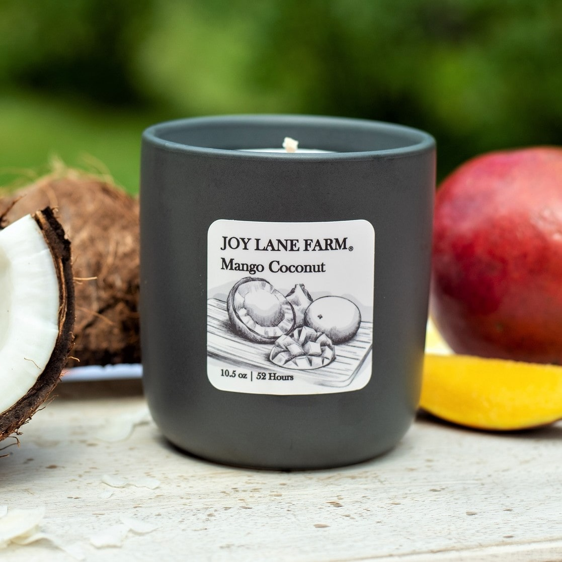 Northern Birch Soy Candle