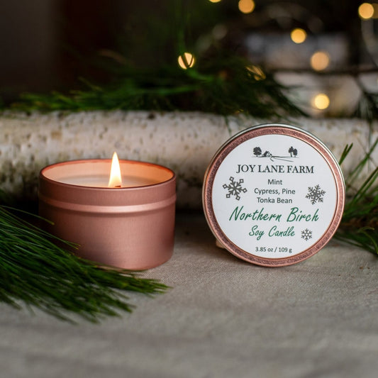 Northern Birch Holiday Tin Candle