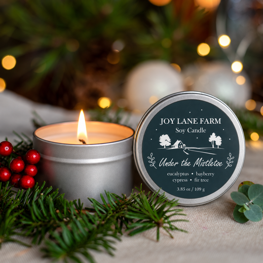 Under the Mistletoe Holiday Tin Candle