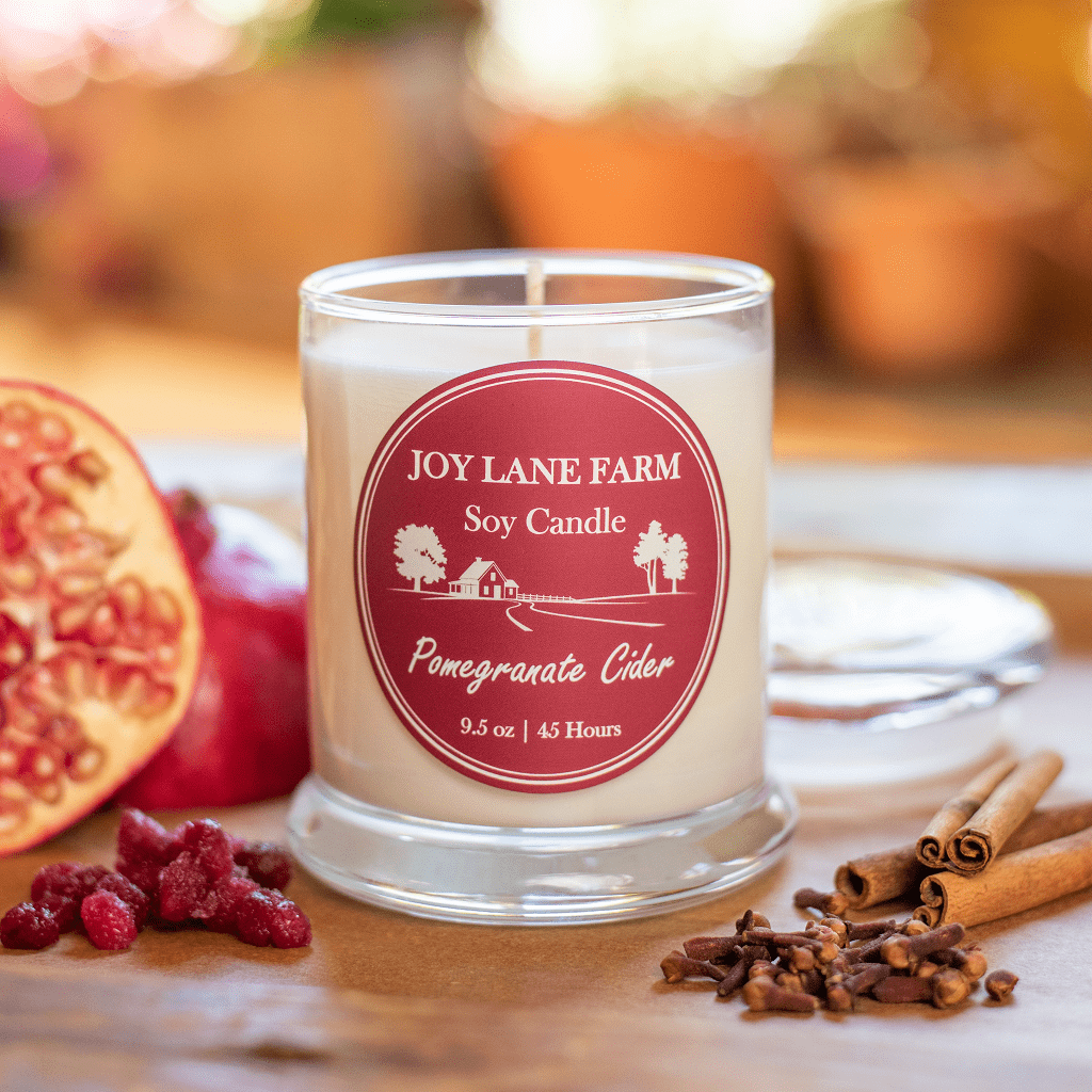 Pomegranate Cider Soy Candle - Case Pack of 4