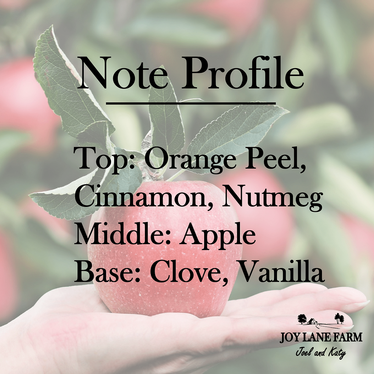 Applejack & Peel Soy Candle